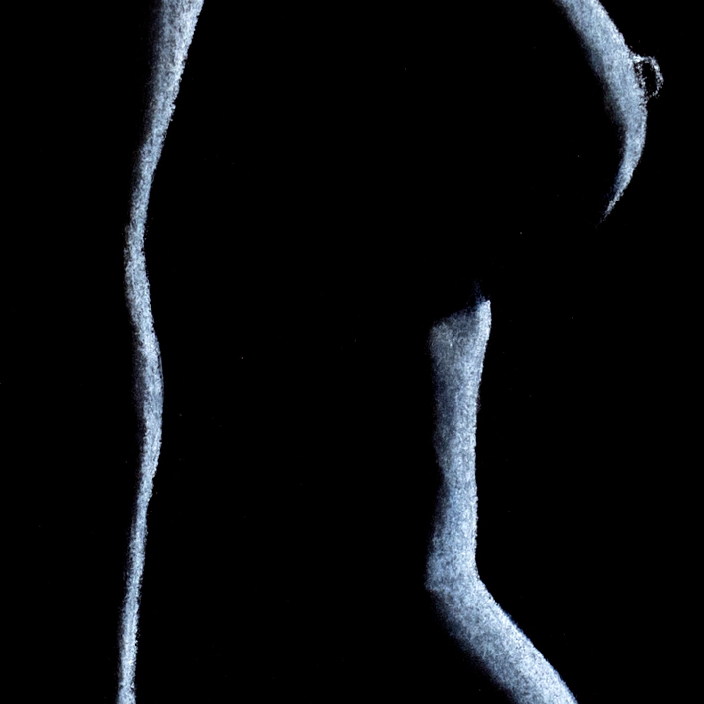 Close-up detail of pastel figure drawing. You can see the smooth blending, contrast between light and dark tones and use of negative space to create shapes.