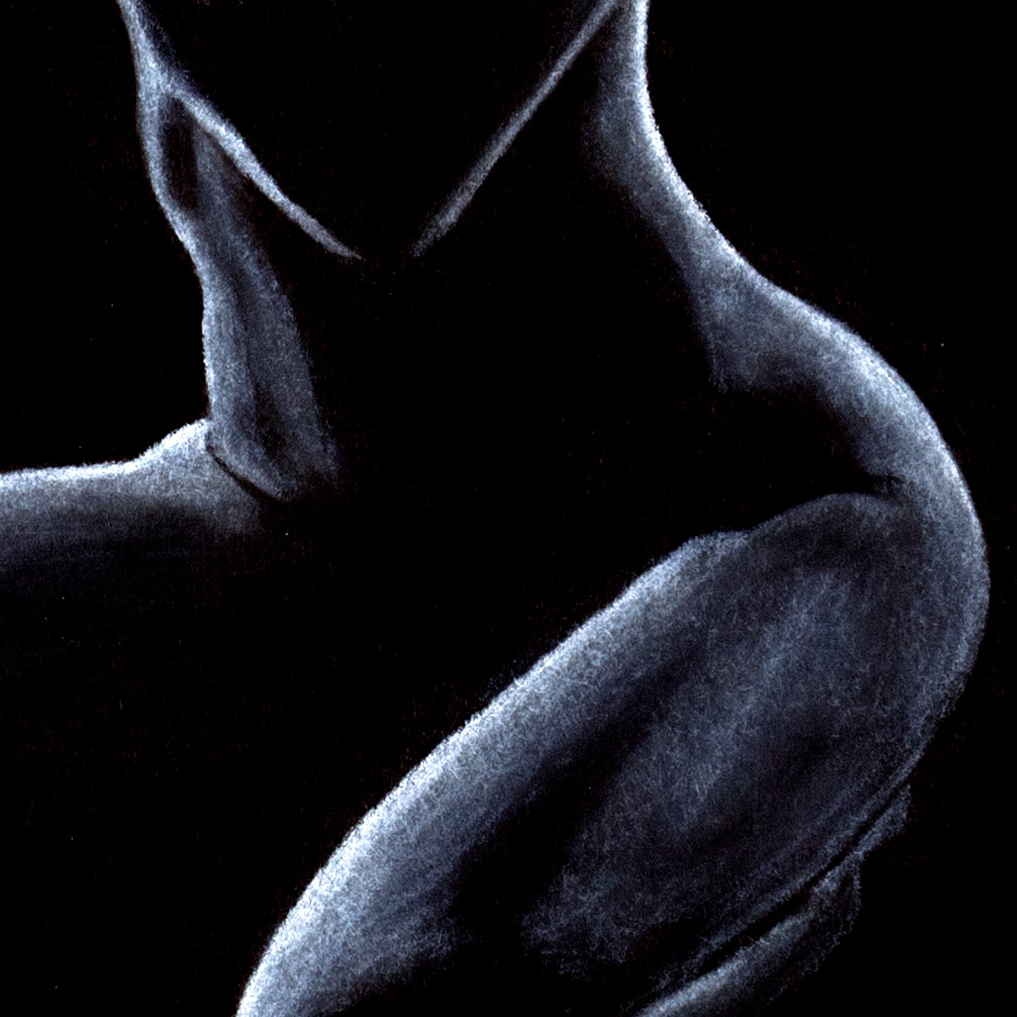 Close-up detail of pastel figure drawing. You can see the smooth blending, contrast between light and dark tones and use of negative space to create shapes.