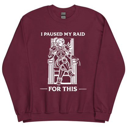 Paused My Raid For This Sweatshirt